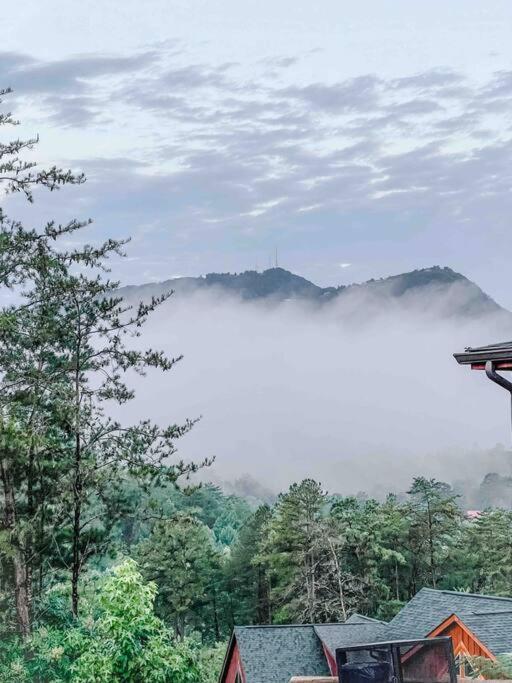 Indoor Heated Pool Hot Tub Cabin Sevierville Εξωτερικό φωτογραφία